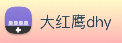 大红鹰dhy logo